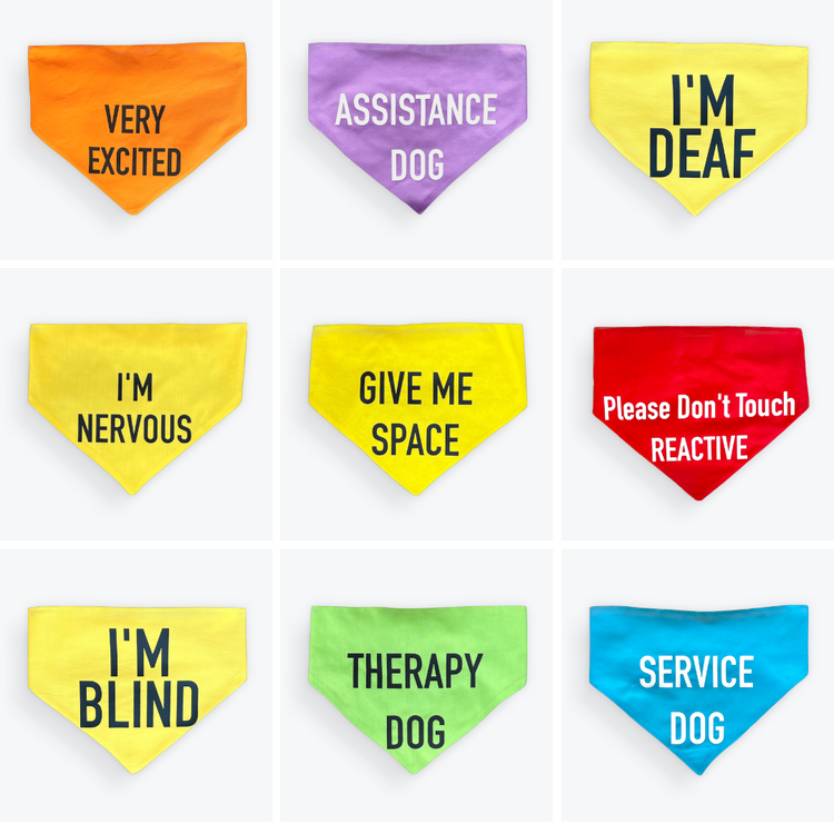 Awareness & Jobs scrunchie bandanas