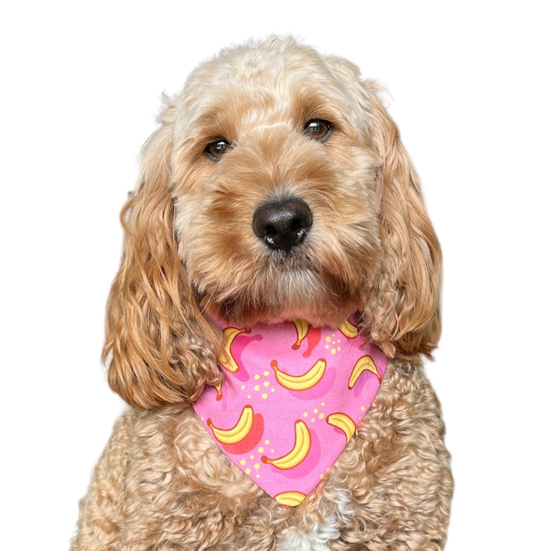 Bananas scrunchie bandana