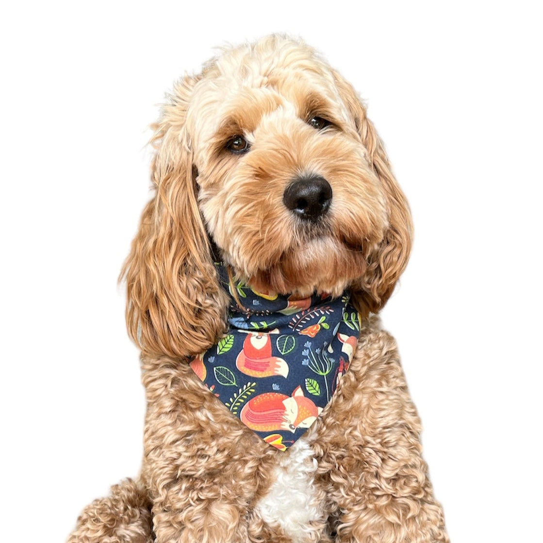 Foxes scrunchie bandana