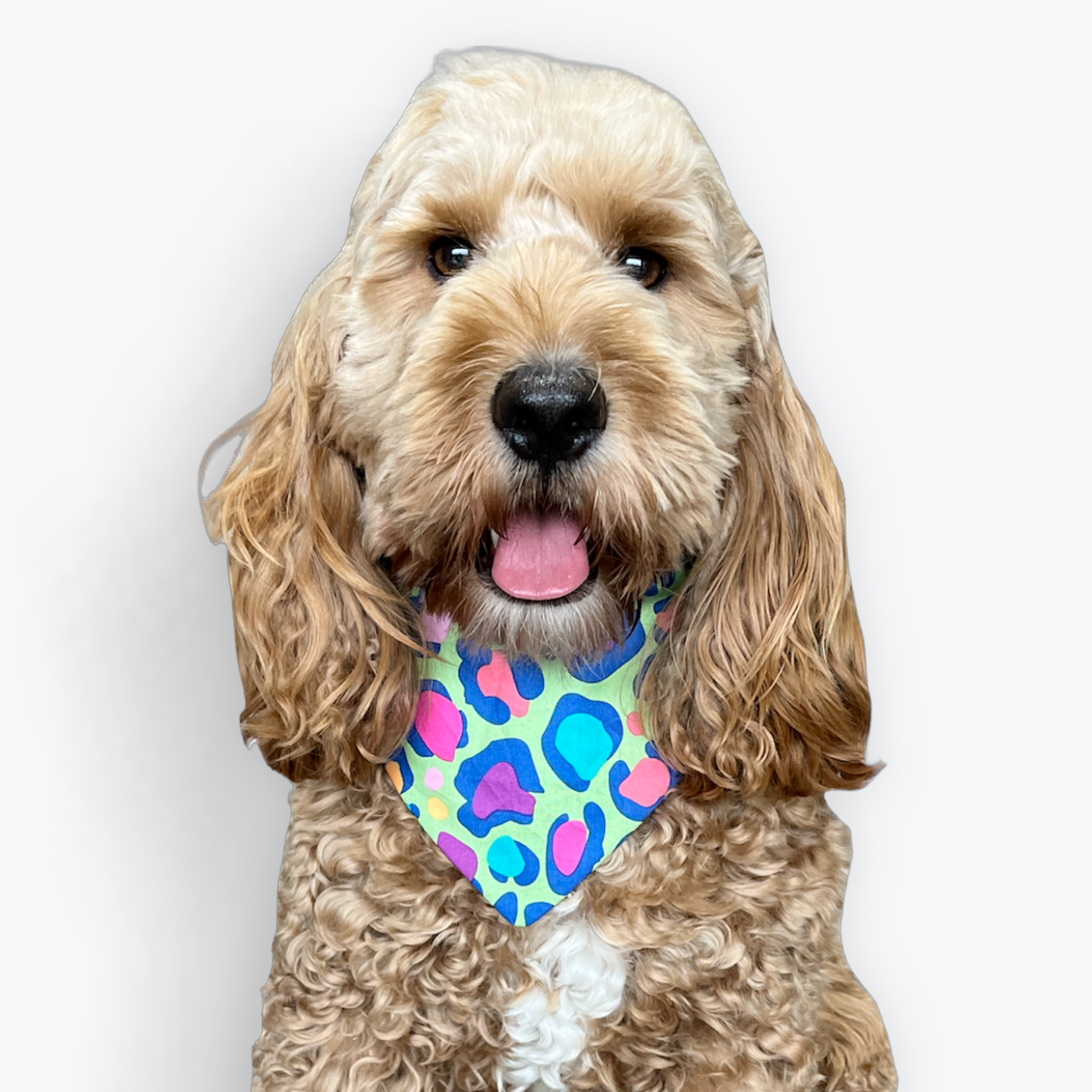 Wild & Bright Scrunchie Bandana