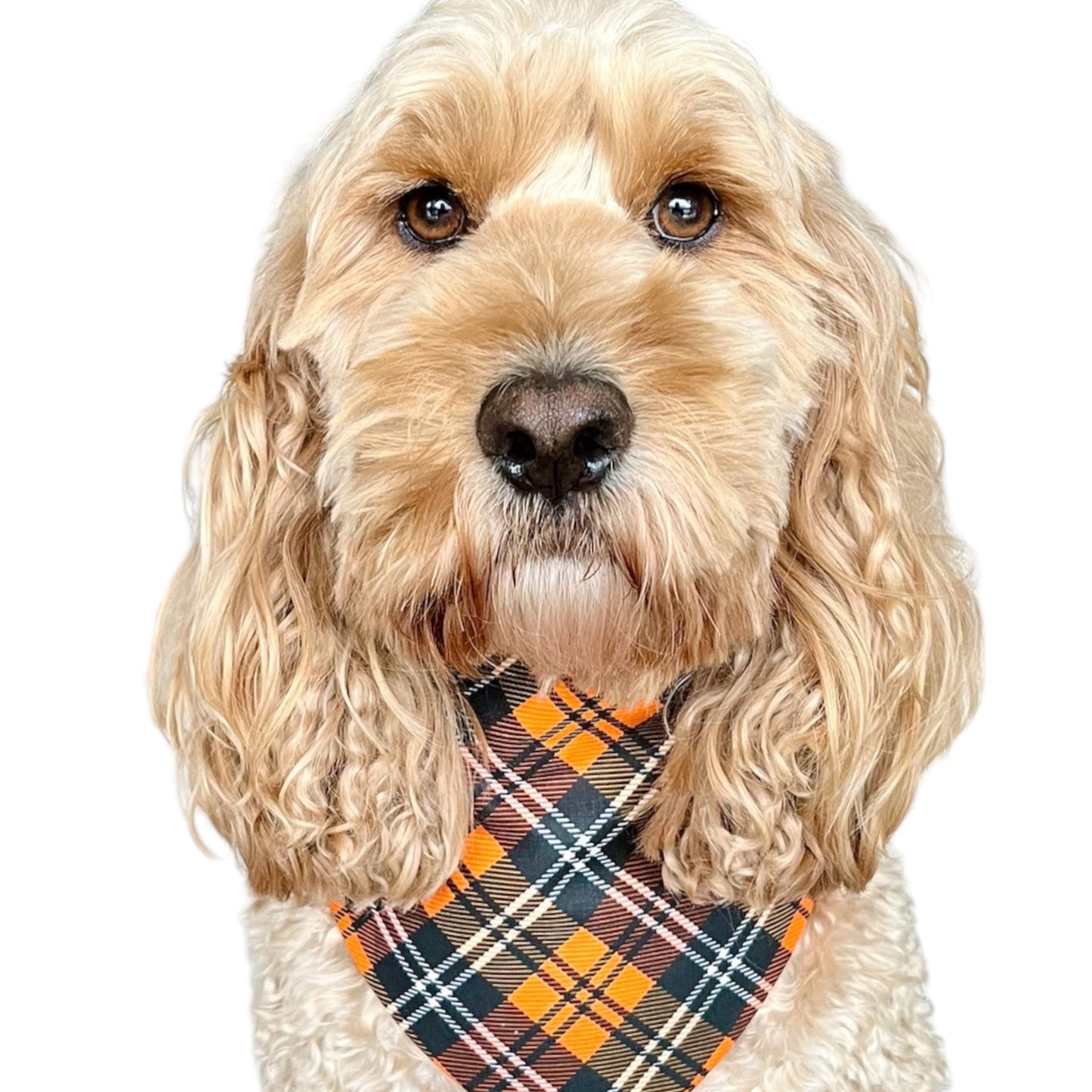 Pumpkin Patch Plaid scrunchie bandana