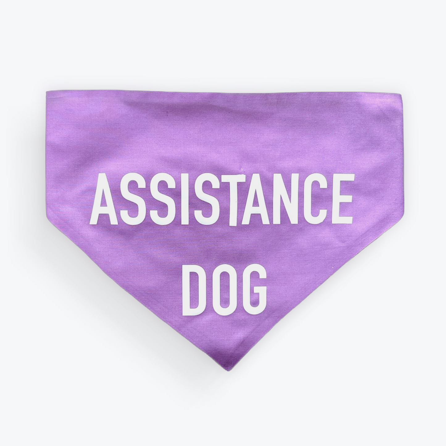 Assistance Dog scrunchie bandana