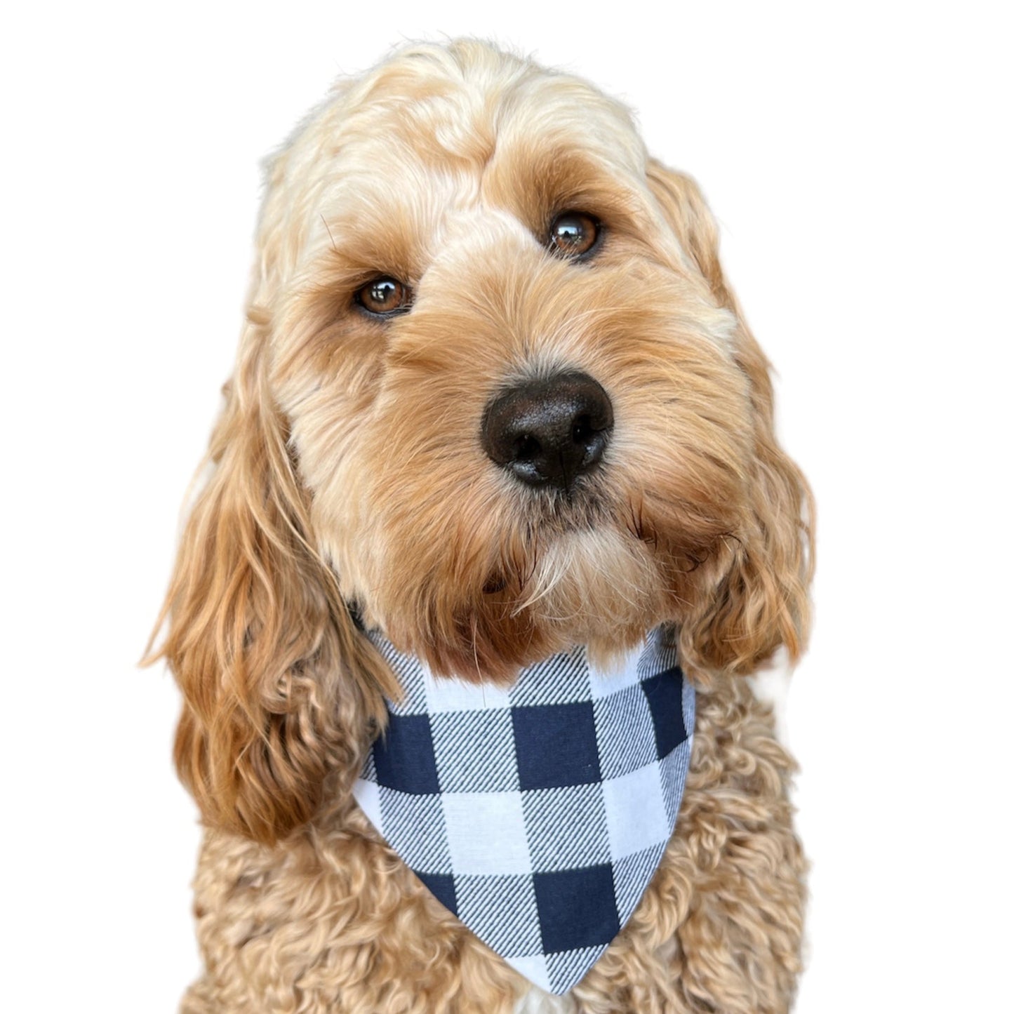 Navy Gingham Scrunchie Bandana