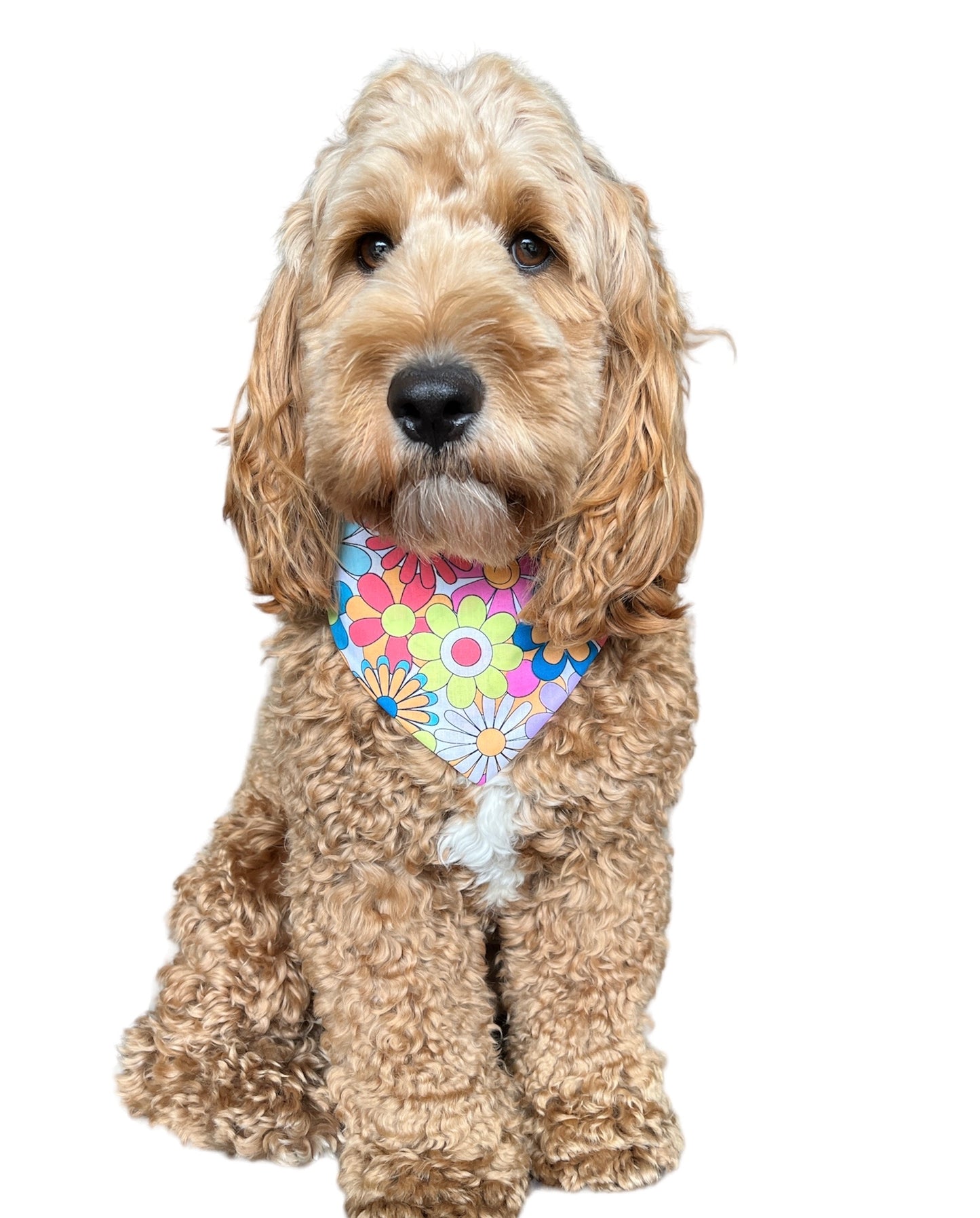 Flower power scrunchie bandana