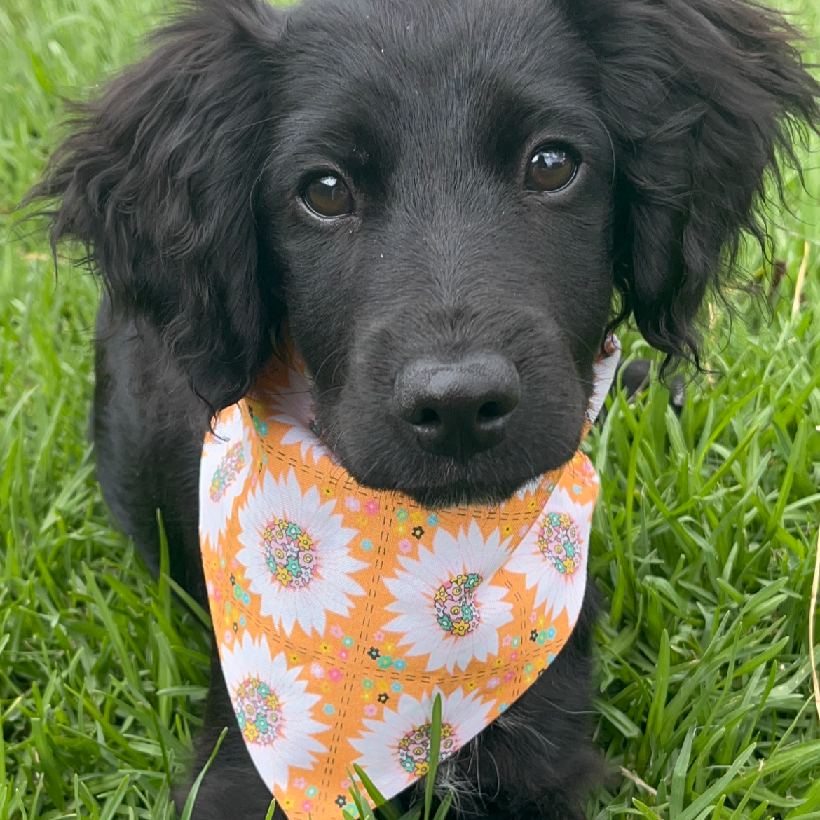 Meadow stitch scrunchie bandana