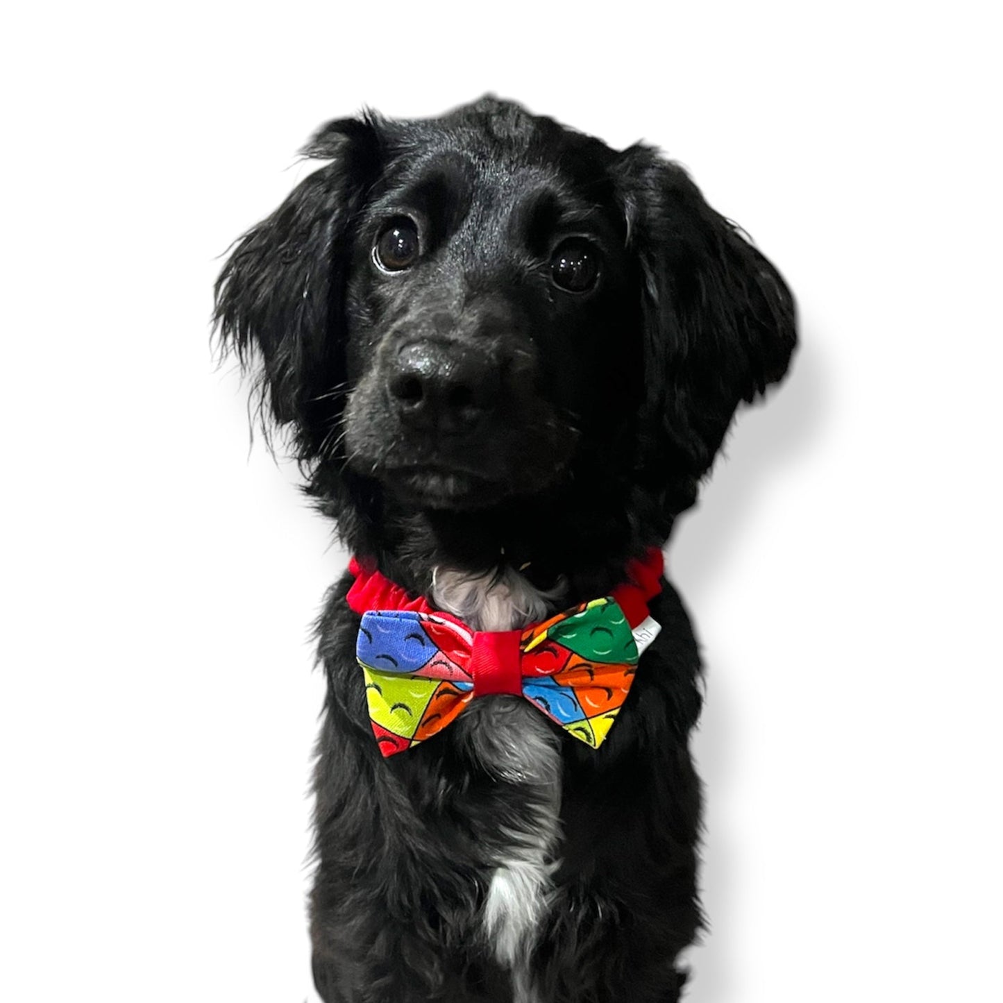 Playbrick Scrunchie Bow Tie