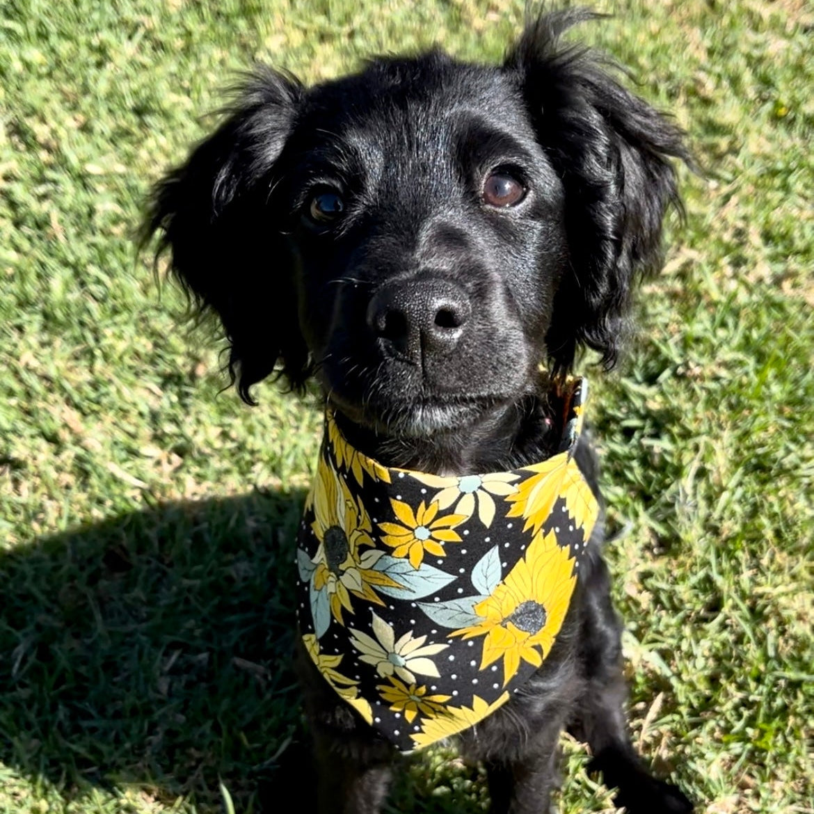 Sunflower scrunchie bandana