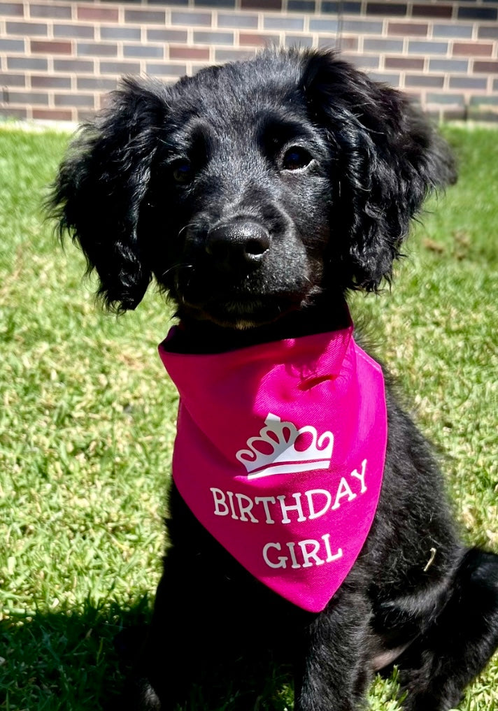 Birthday Girl Scrunchie Bandana
