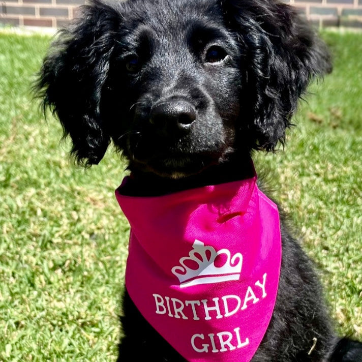Birthday Girl Scrunchie Bandana