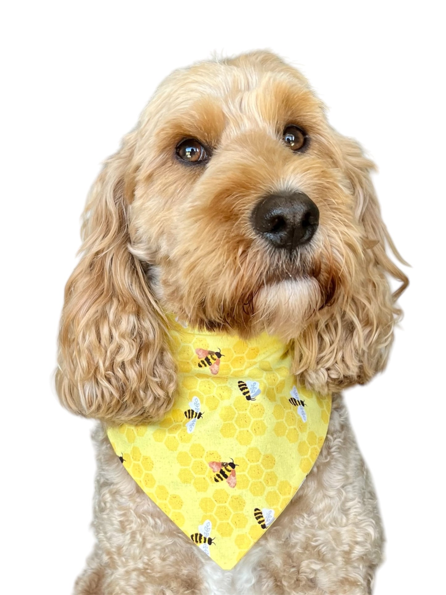 Bee Happy scrunchie bandana