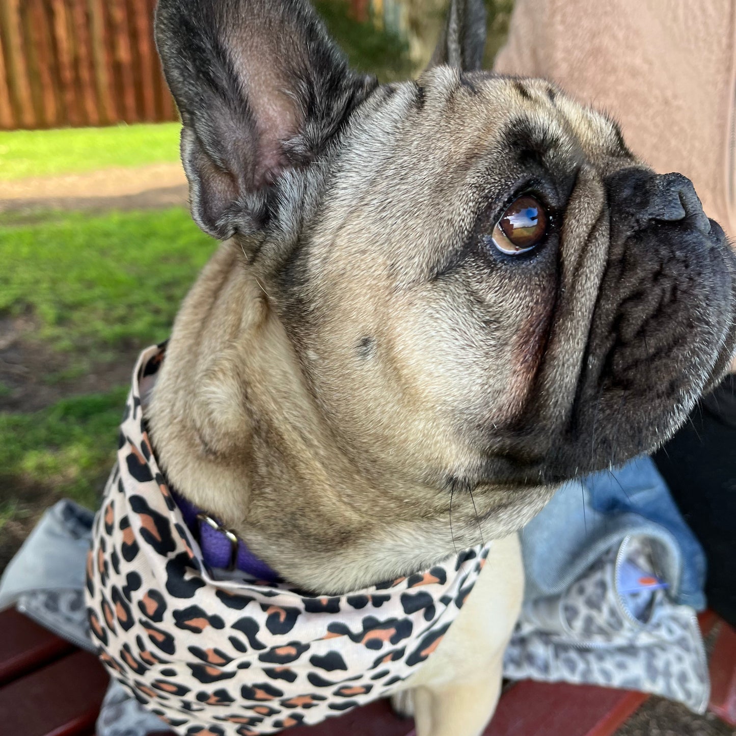 Leopard Print Scrunchie Bandana