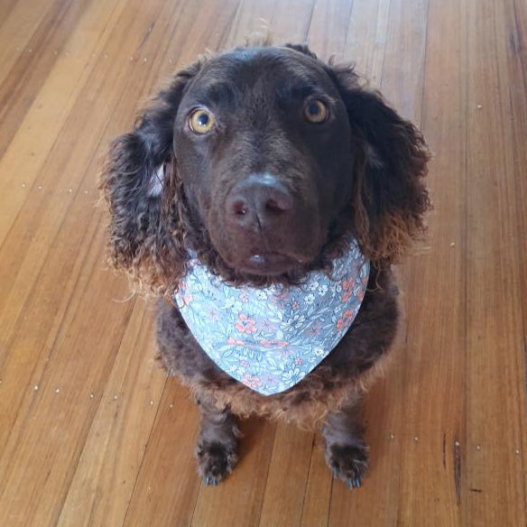 Dusky Bloom scrunchie bandana