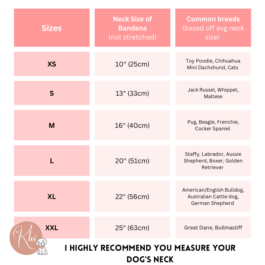 Birthday Boy Scrunchie Bandana