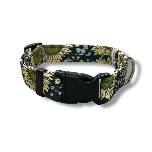 Arlo Fields Dog Collar