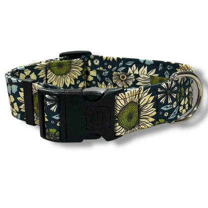 Arlo Fields Dog Collar