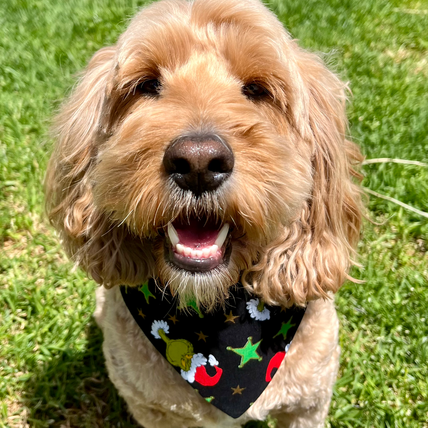 The greenman scrunchie bandana
