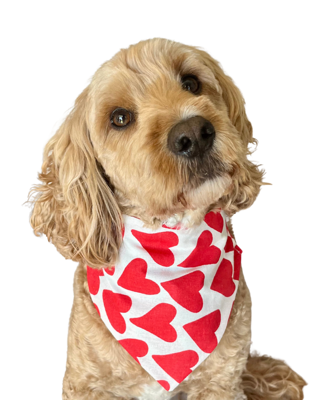 Valerie Scrunchie Bandana