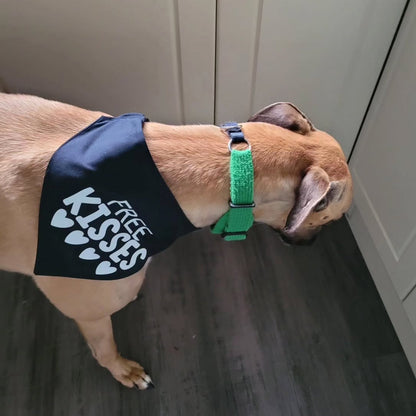Free Kisses Scrunchie Bandana