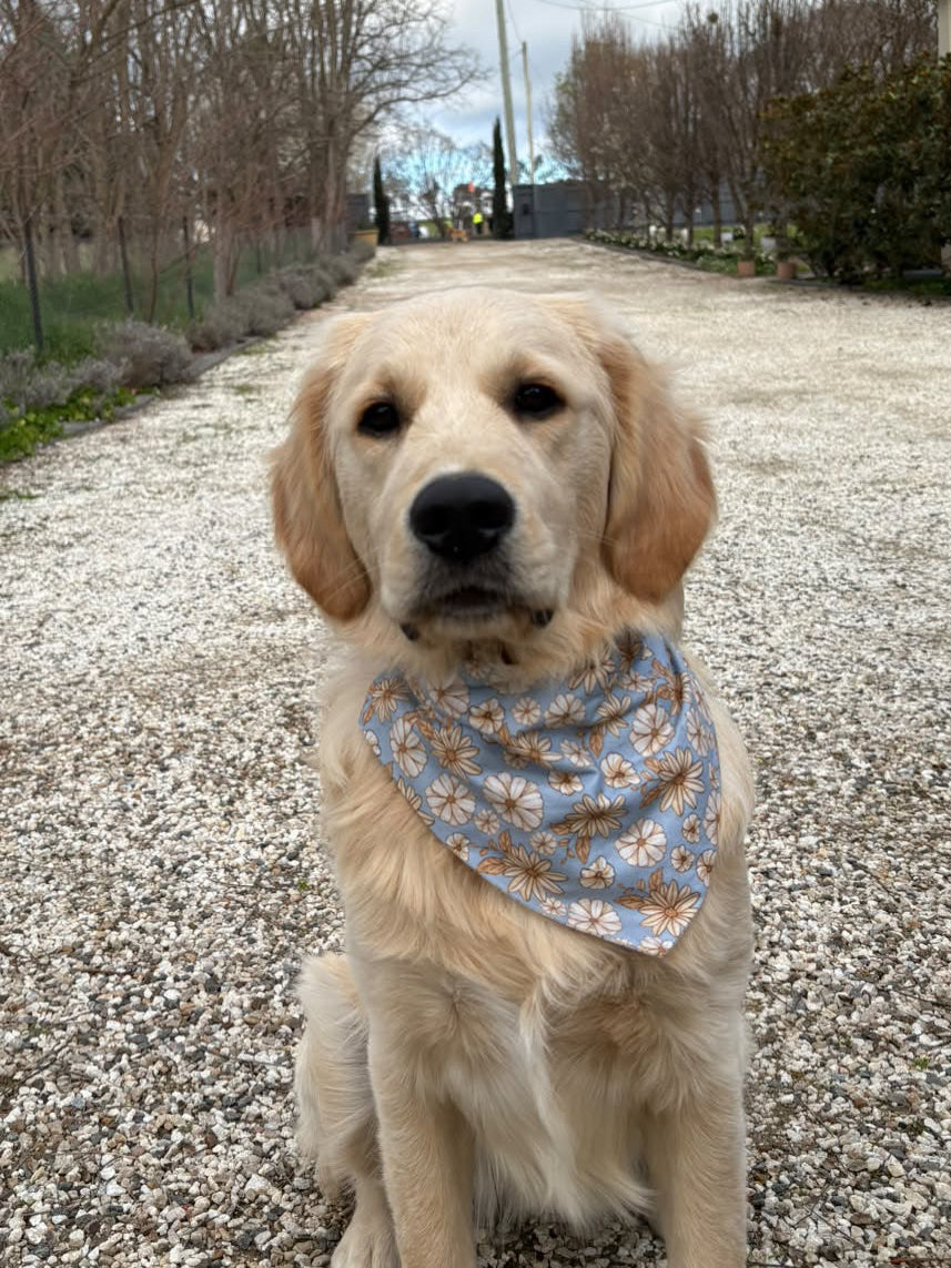 Olivia Scrunchie Bandana