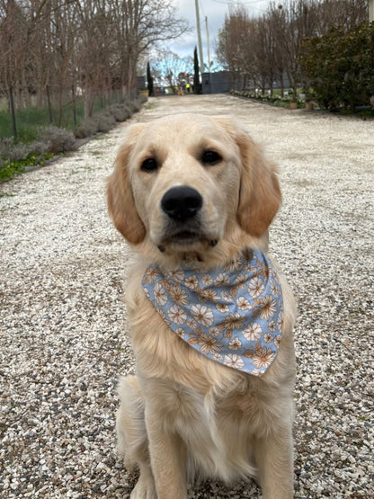 Olivia Scrunchie Bandana