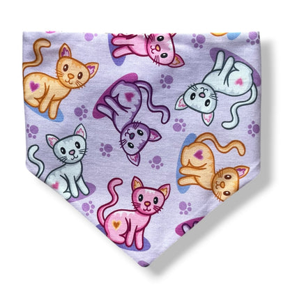 Kitties Scrunchie Bandana