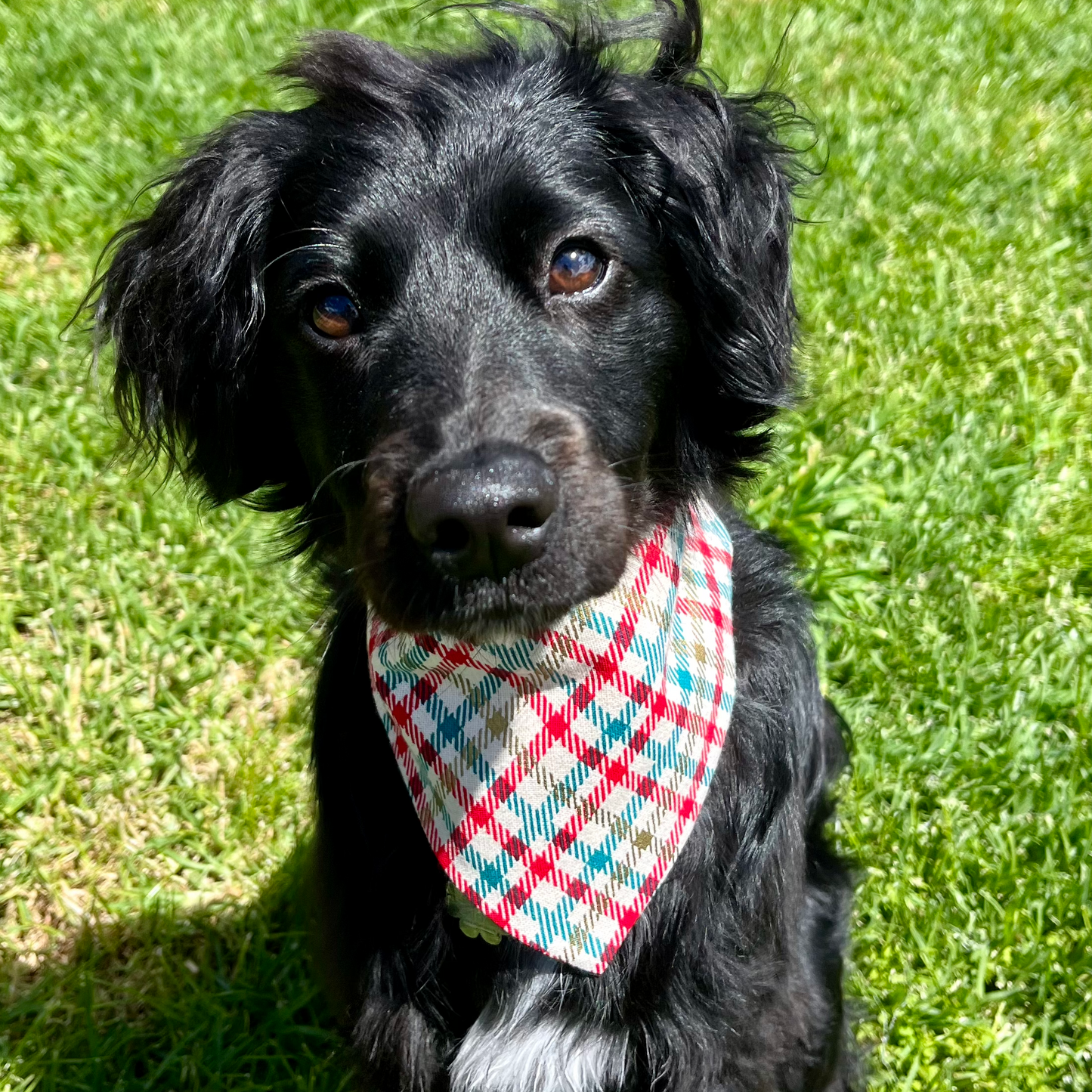 Chrissy Vibes scrunchie bandana