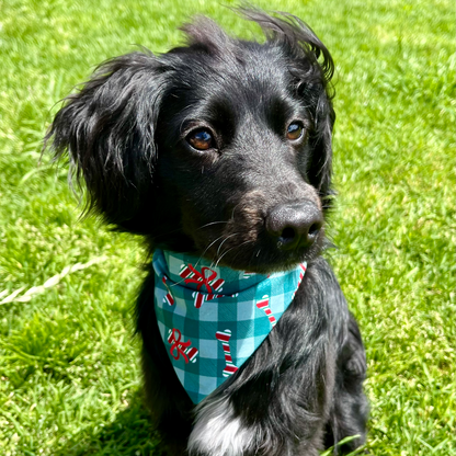 Candy bones scrunchie bandana