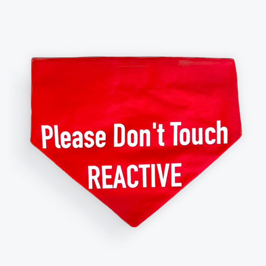 Please Don't Touch REACTIVE scrunchie bandana