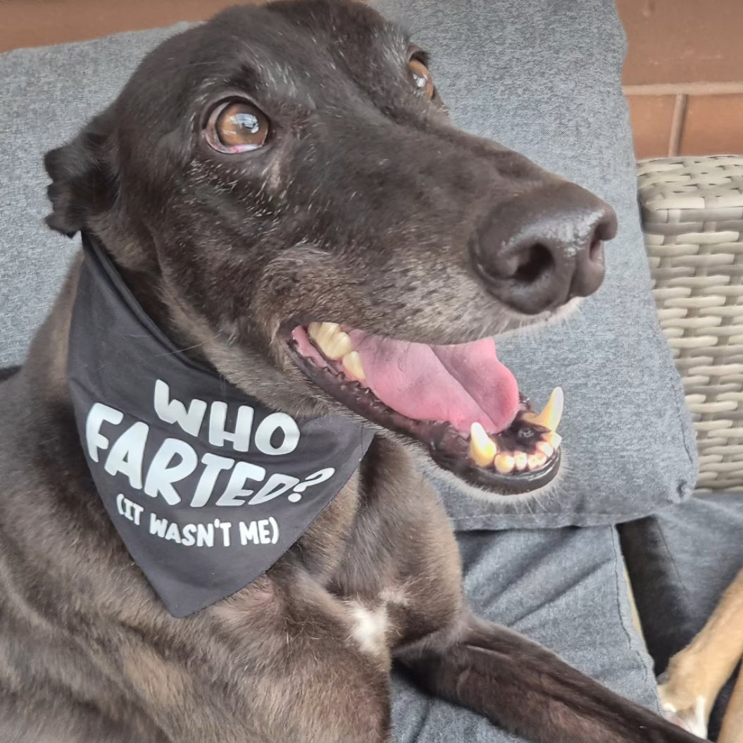Who Farted? (It Wasn't Me) Scrunchie Bandana