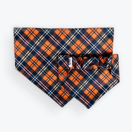 Pumpkin Patch Pup scrunchie bandana